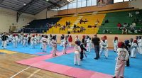 Baños y Ambato con Taekwondo Internacional  – La Voz del Altiplano