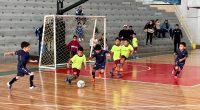 Fútbol Sala Escolar con emociones y goles  – La Voz del Altiplano