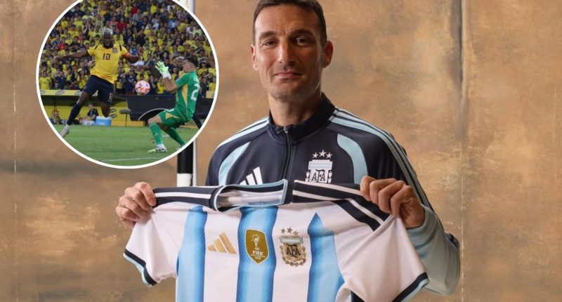 Lionel Scaloni elogia a Ecuador: «Siempre ha sido temible» – La Voz del Altiplano