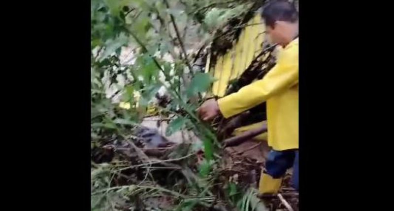 Hallazgo de cuerpos resuelve angustiosa desaparición – La Voz del Altiplano