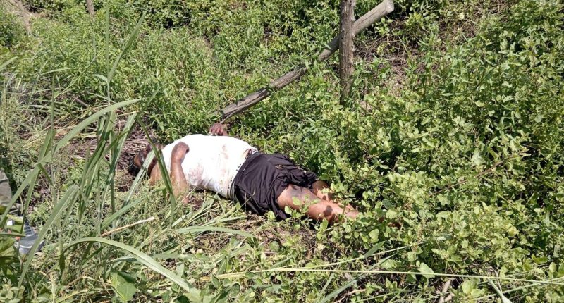 Cuerpo en descomposición con herida de bala en Simbocal – La Voz del Altiplano