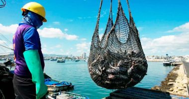 sector crece 15% y consolida a Manta como su capital – La Voz del Altiplano