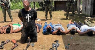 Capturan a cabecilla de disidencias FARC – La Voz del Altiplano