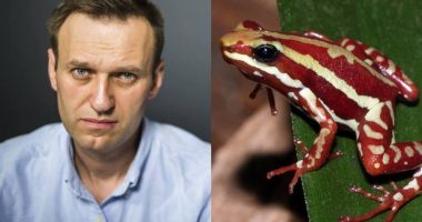 Cinco países europeos acusan a Rusia de asesinar a Navalni – La Voz del Altiplano