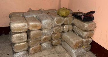 Intervención Militar contra Delincuencia Organizada – La Voz del Altiplano