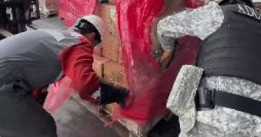 Senae incinera 3 millones de cigarrillos de contrabando – La Voz del Altiplano