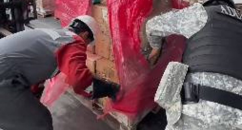 Senae incinera 3 millones de cigarrillos de contrabando – La Voz del Altiplano