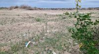Luces en el cielo y la tragedia de la ministra de Defensa – La Voz del Altiplano