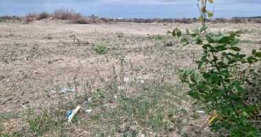 Luces en el cielo y la tragedia de la ministra de Defensa – La Voz del Altiplano