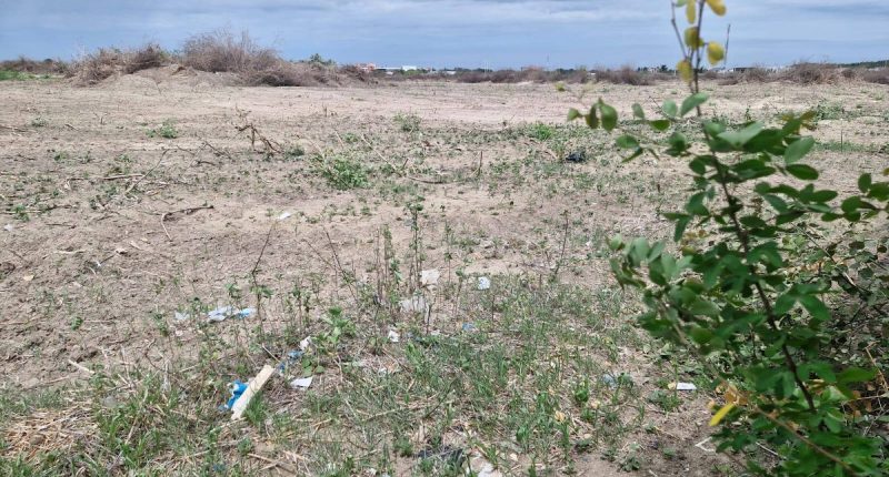 Luces en el cielo y la tragedia de la ministra de Defensa – La Voz del Altiplano