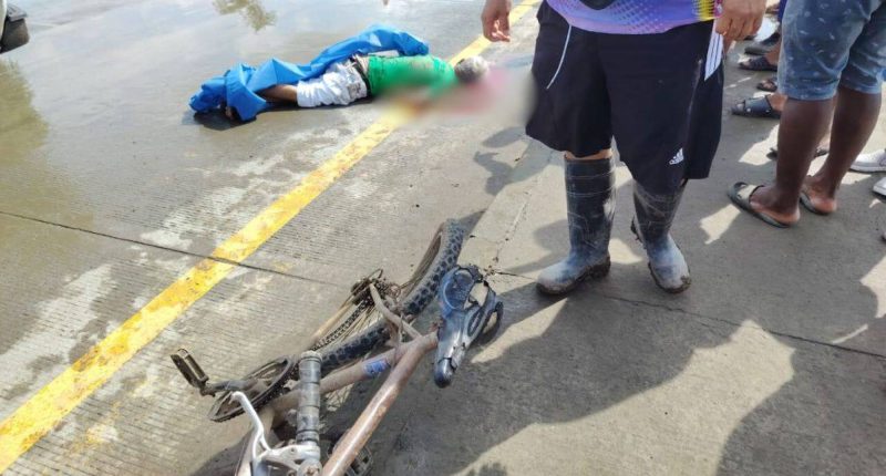 Adulto mayor muere tras ser atropellado en Chone – La Voz del Altiplano
