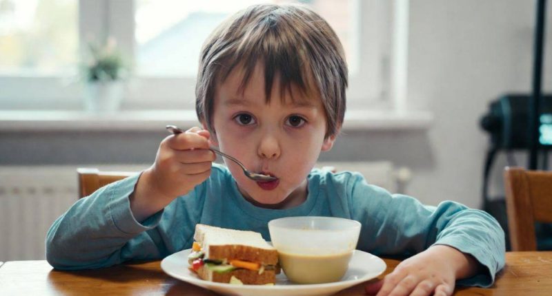 Disfrutar la comida en la infancia es más saludable – La Voz del Altiplano