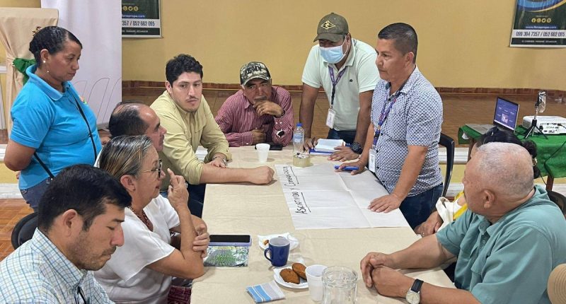 Productores de plátano analizan política agropecuaria en Manabí – La Voz del Altiplano