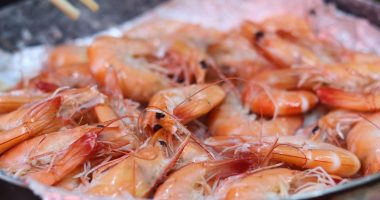 Camarón supera al petróleo en exportaciones de Ecuador – La Voz del Altiplano