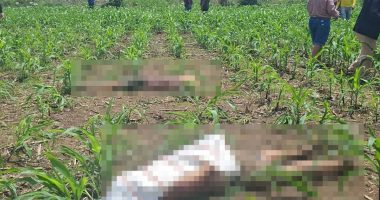 Ventanas hallan sin vida a dos adolescentes en un maizal del recinto La Polvareda – La Voz del Altiplano