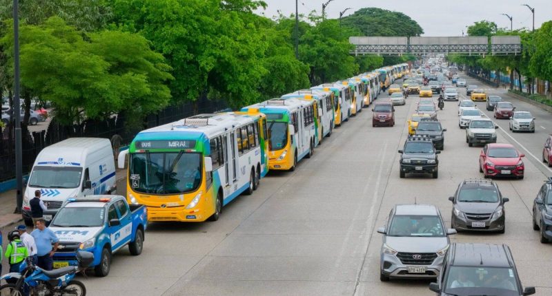 Metrovía suma 25 nuevos buses para la Troncal 1 y mejora servicio – La Voz del Altiplano