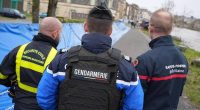 Descubren cuerpos de dos bebés en congelador en Francia – La Voz del Altiplano