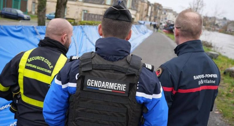 Descubren cuerpos de dos bebés en congelador en Francia – La Voz del Altiplano