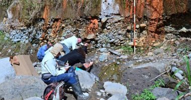 Fósiles de mastodonte y perezoso gigante hallados en Costa Rica – La Voz del Altiplano