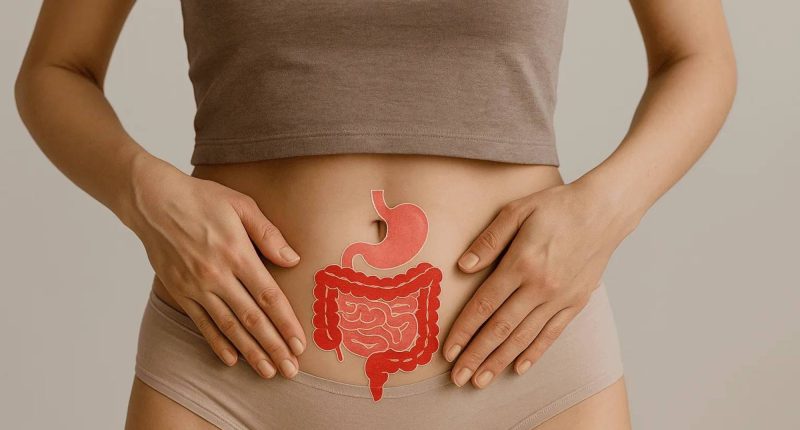 Su Papel Crucial en la Salud de la Mujer – La Voz del Altiplano