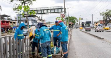 Guayaquil reemplaza 149 palmeras por especies nativas – La Voz del Altiplano