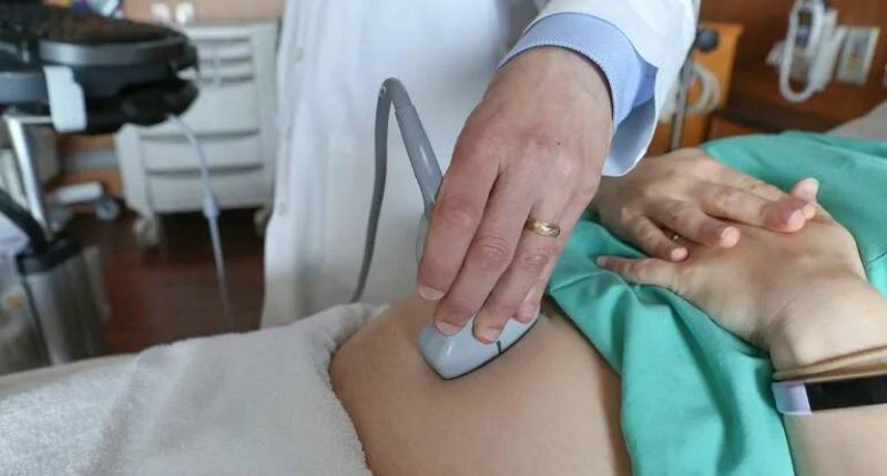Francia implementa plan nacional contra infertilidad – La Voz del Altiplano