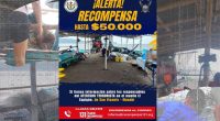 Recompensa de hasta  mil por ataque en muelle San Vicente – La Voz del Altiplano