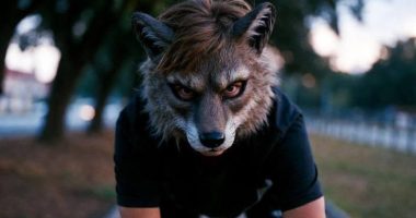 Los Therian en Sudamérica y Ecuador: ¿Humanos o Animales? – La Voz del Altiplano