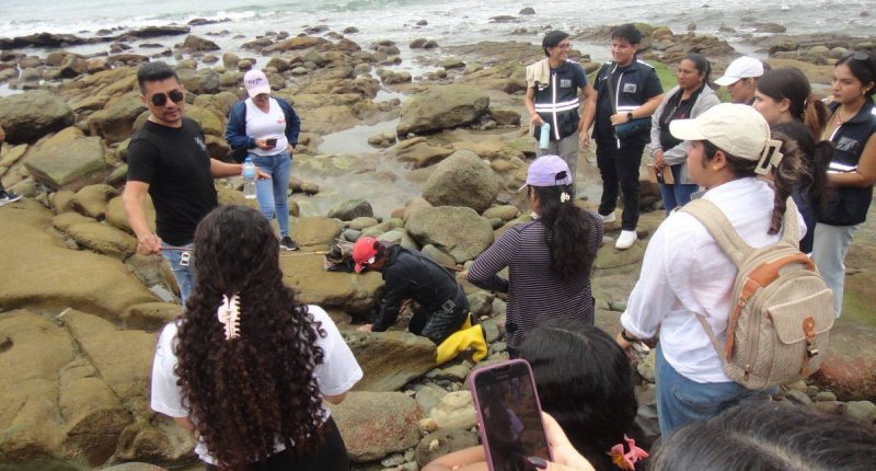 Reactivación turística y cultural de Ligüiqui: 11 propuestas – La Voz del Altiplano
