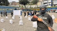 Incautan 700 kg de marihuana escondida en andamios – La Voz del Altiplano
