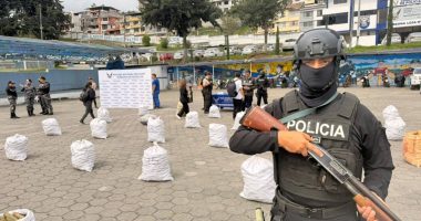 Incautan 700 kg de marihuana escondida en andamios – La Voz del Altiplano