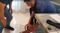 Aquiles Álvarez se retiró el grillete en 33 ocasiones – La Voz del Altiplano
