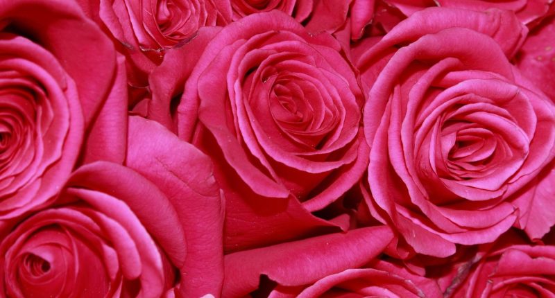 Exportaciones de Ecuador a EE. UU.: Arancel Cero – La Voz del Altiplano