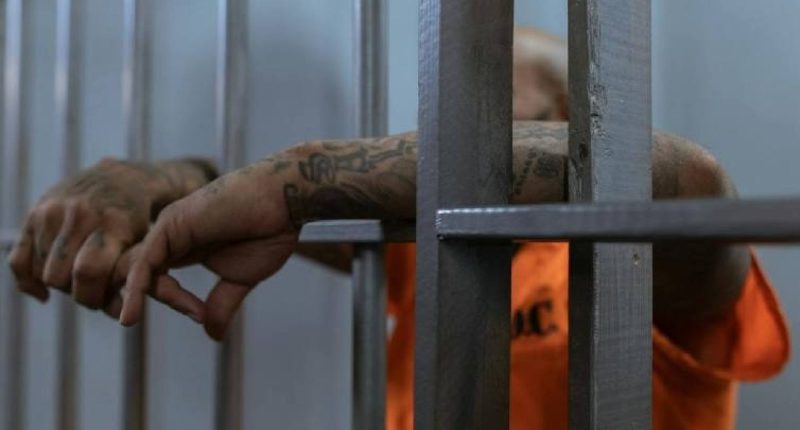 Cómo operan los presos en extorsiones en cárceles argentinas – La Voz del Altiplano