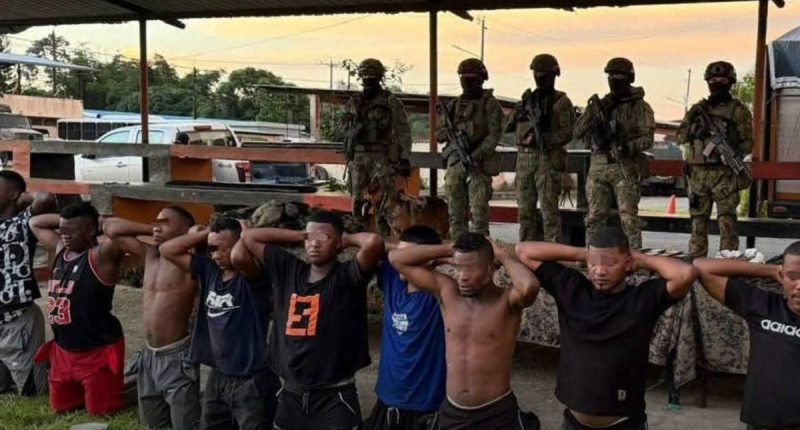 Militares de Ecuador detienen a diez presuntos guerrilleros – La Voz del Altiplano