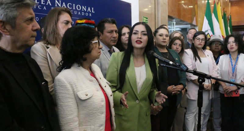 Revolución Ciudadana evalúa juicio a vocales CJ – La Voz del Altiplano