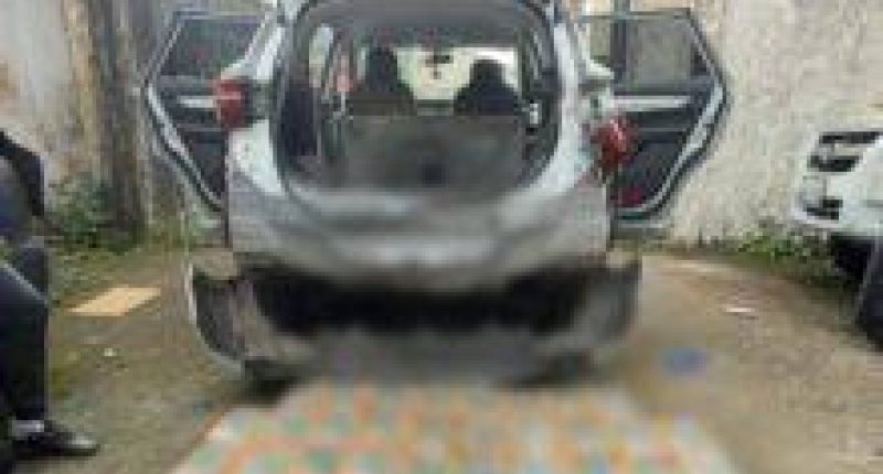 incautan más de 200 kilos de cocaína en operativo antidroga – La Voz del Altiplano