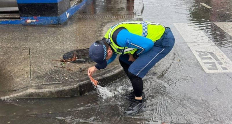 ¿Por qué Guayaquil se inunda rápidamente con las lluvias? – La Voz del Altiplano
