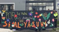 Yasunidos Denuncia Persecución Política en Audiencia del TCE – La Voz del Altiplano