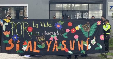 Yasunidos Denuncia Persecución Política en Audiencia del TCE – La Voz del Altiplano