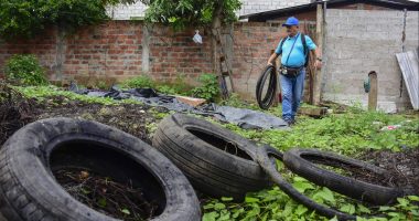 Enfermedades tropicales siguen vigentes por desigualdades – La Voz del Altiplano