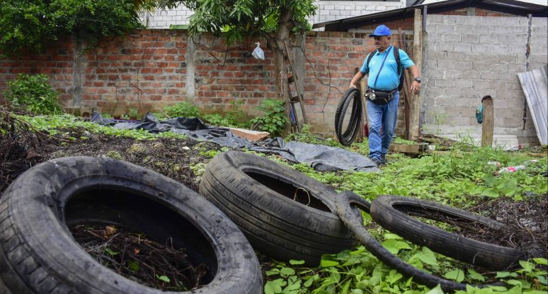 Enfermedades tropicales siguen vigentes por desigualdades – La Voz del Altiplano