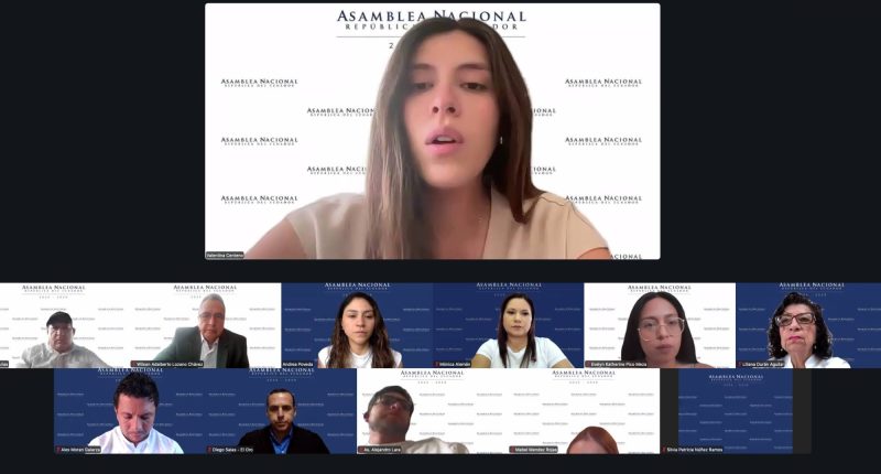 Asamblea debatirá el proyecto 70/30 en medio de observaciones técnicas y políticas – La Voz del Altiplano