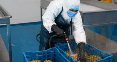 Estos son los cambios realizados – La Voz del Altiplano