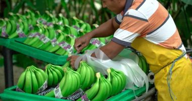 Jornada laboral de 12 horas en Ecuador: Esto dice la OIT – La Voz del Altiplano