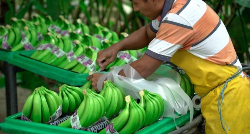 Jornada laboral de 12 horas en Ecuador: Esto dice la OIT – La Voz del Altiplano