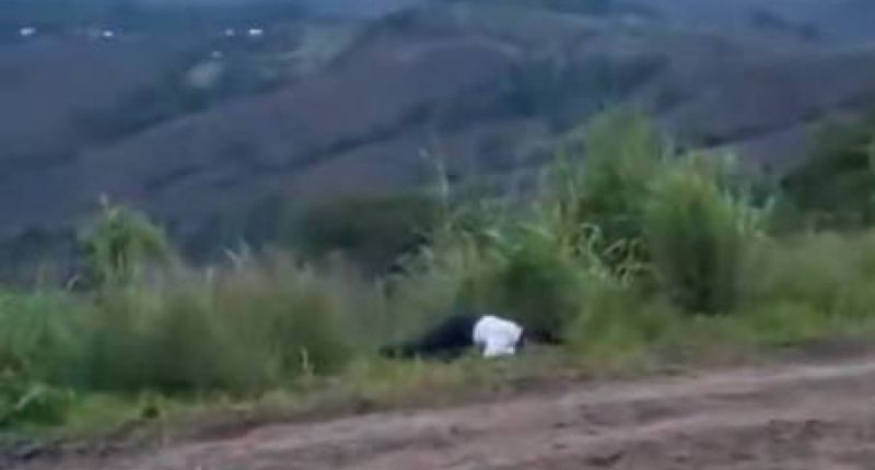 Adolescente de 15 años encontrada sin vida en Tosagua – La Voz del Altiplano