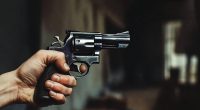 Promedio de vida en el crimen organizado: 30 a 35 años – La Voz del Altiplano