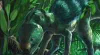 Descubren minidinosaurio herbívoro de 30 cm en España – La Voz del Altiplano