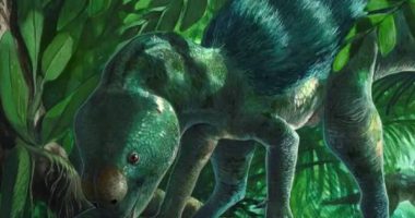 Descubren minidinosaurio herbívoro de 30 cm en España – La Voz del Altiplano